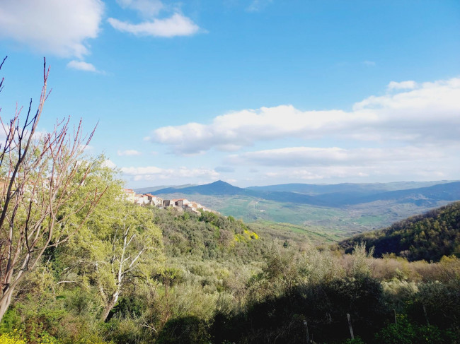 Cielo Terra in vendita a Castelbottaccio