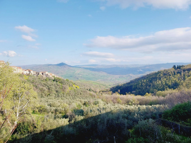 Cielo Terra in vendita a Castelbottaccio