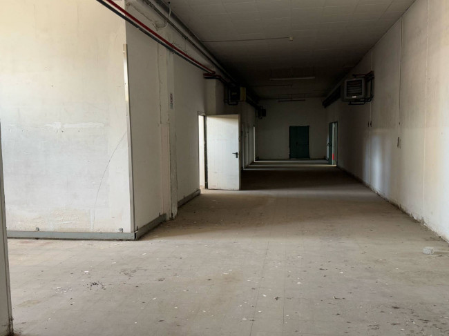 Locale commerciale in vendita a Campobasso