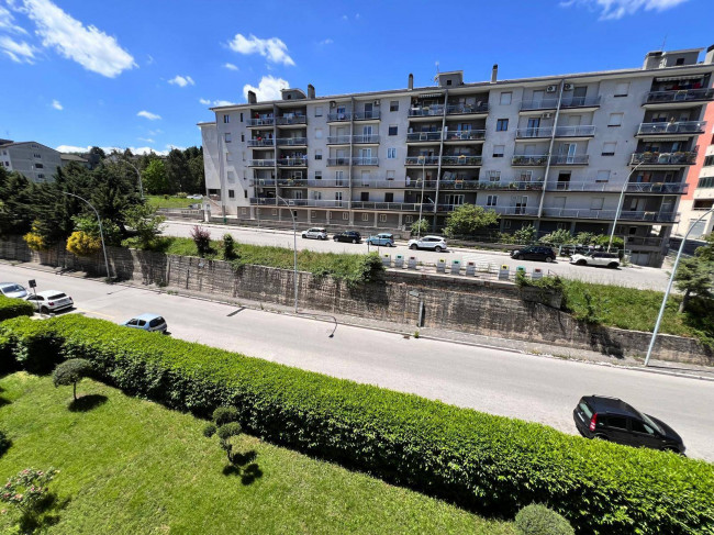 Appartamento in affitto a Campobasso