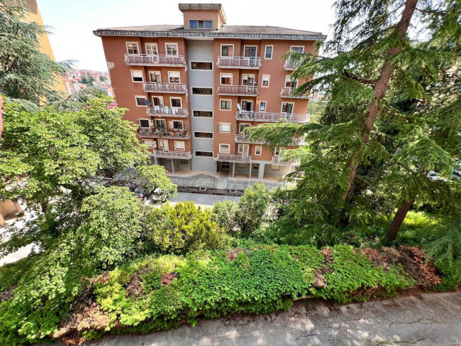 Appartamento in affitto a Campobasso