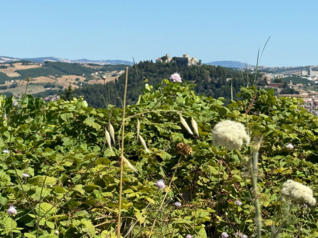 Villa in vendita a Campobasso