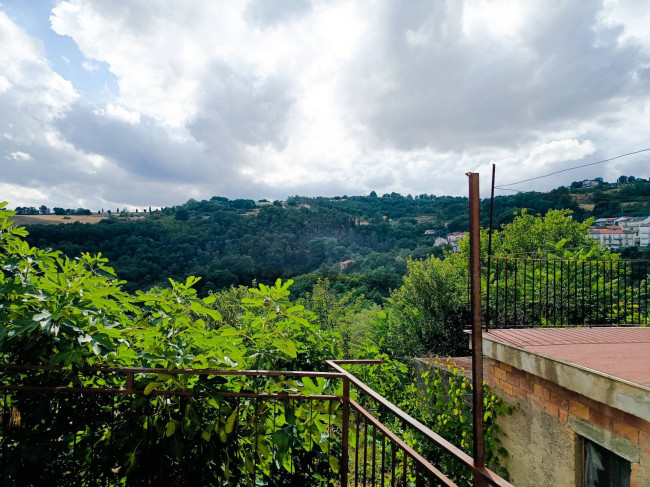 Cielo Terra in vendita a Castelbottaccio