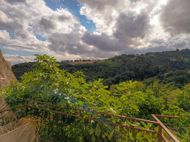 Cielo Terra in vendita a Castelbottaccio