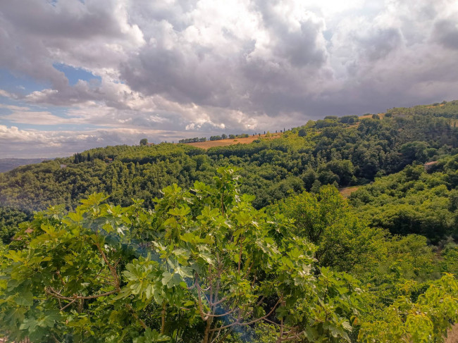 Cielo Terra in vendita a Castelbottaccio