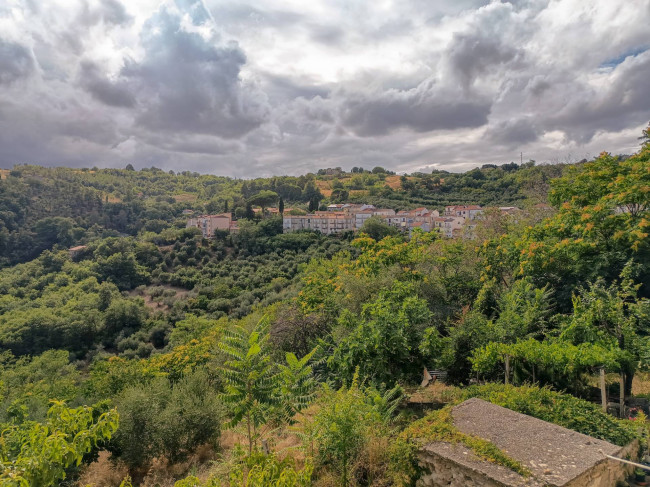 Cielo Terra in vendita a Castelbottaccio