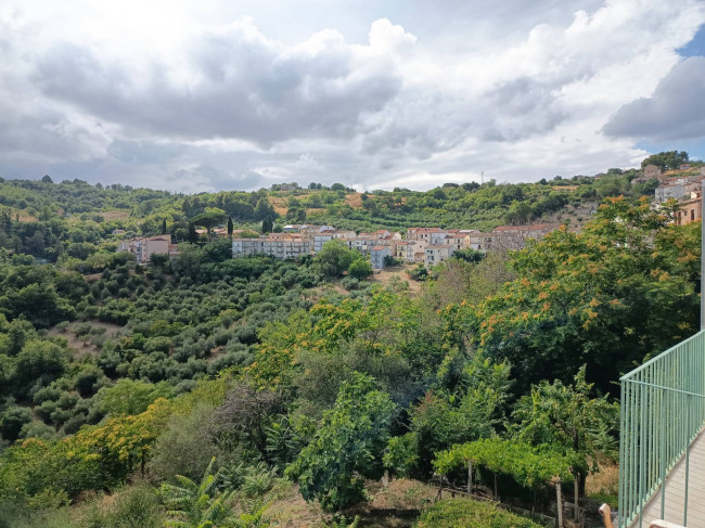 Cielo Terra in vendita a Castelbottaccio