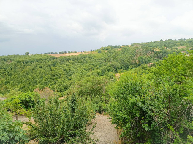 Cielo Terra in vendita a Castelbottaccio