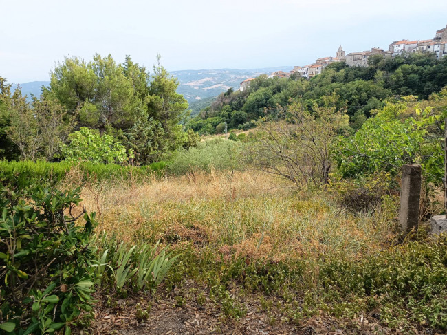 Terreno Agricolo in vendita a Castelbottaccio