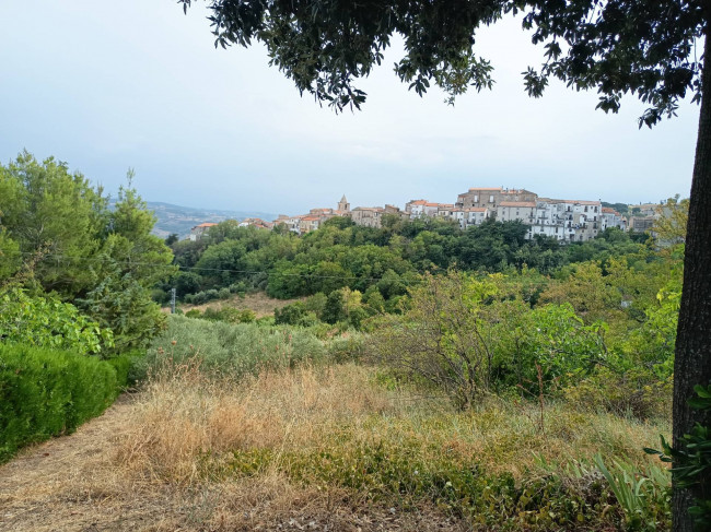 Terreno Agricolo in vendita a Castelbottaccio