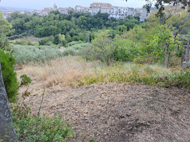 Terreno Agricolo in vendita a Castelbottaccio