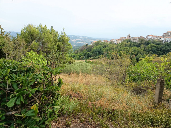 Terreno Agricolo in vendita a Castelbottaccio