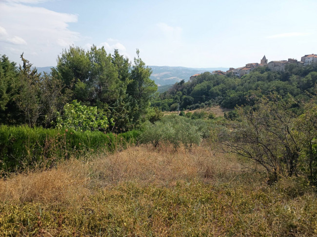 Terreno Agricolo in vendita a Castelbottaccio