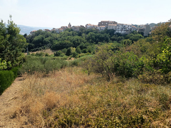 Terreno Agricolo in vendita a Castelbottaccio