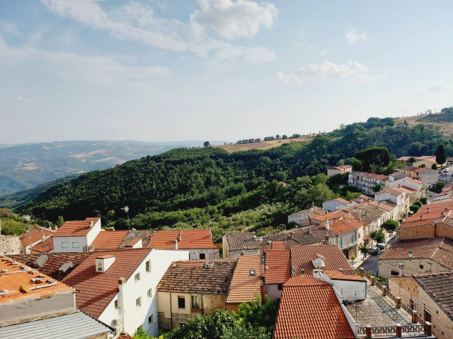 Cielo Terra in vendita a Castelbottaccio