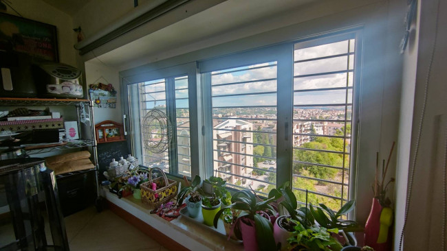Appartamento in vendita a Campobasso