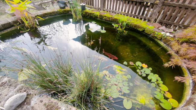 Villette a schiera in vendita a Vinchiaturo