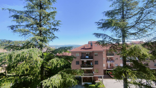 Appartamento in vendita a Campobasso