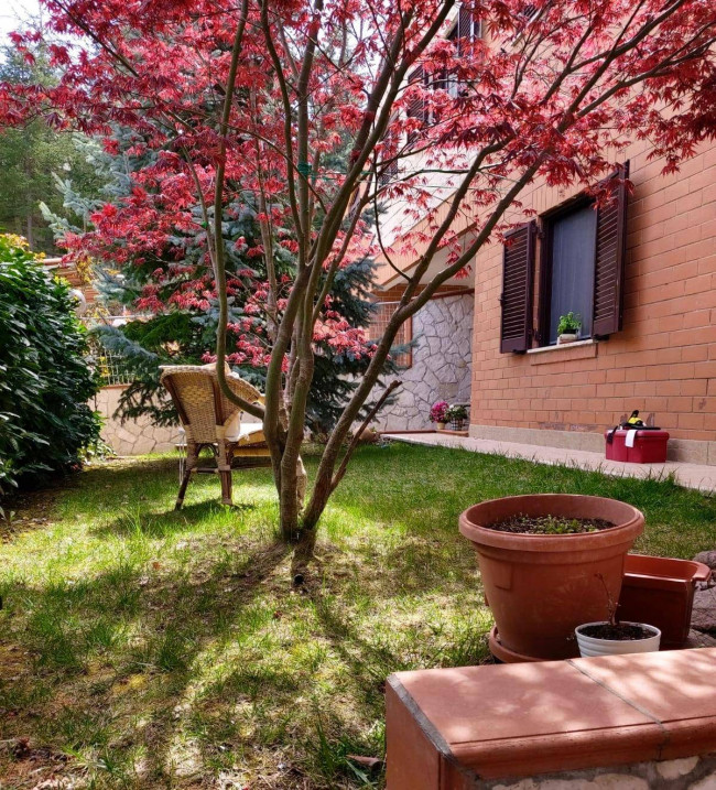 Appartamento in affitto a Campobasso