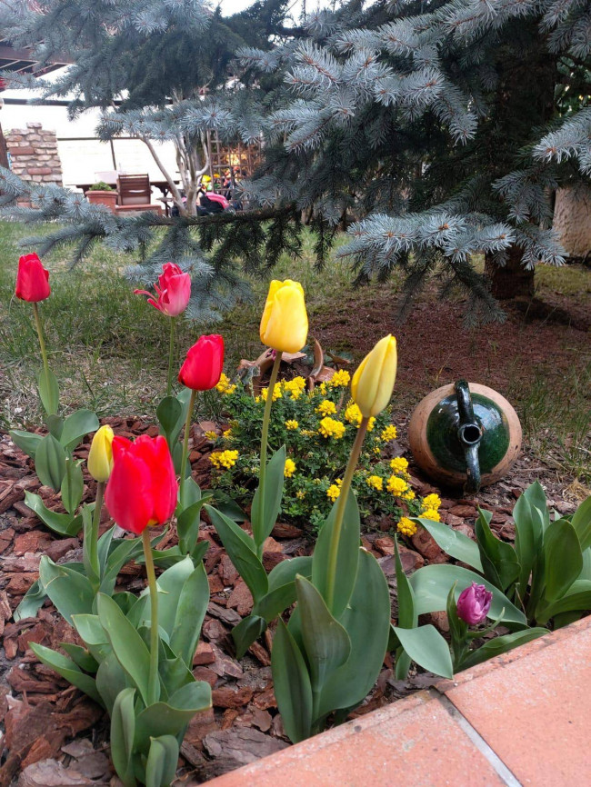 Appartamento in affitto a Campobasso