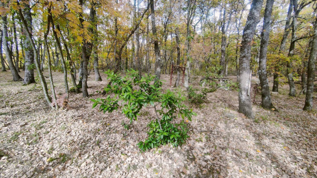 Casa indipendente in vendita a Campobasso