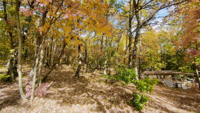 Casa indipendente in vendita a Campobasso