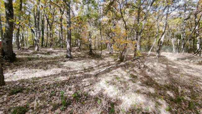 Casa indipendente in vendita a Campobasso