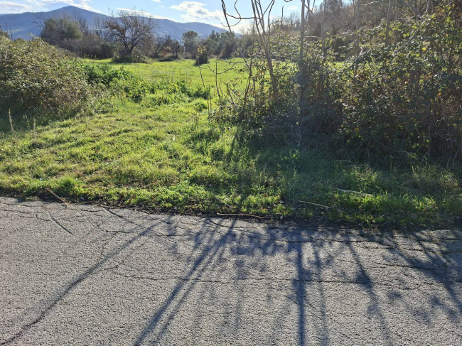 Terreno Agricolo in vendita a Guardialfiera