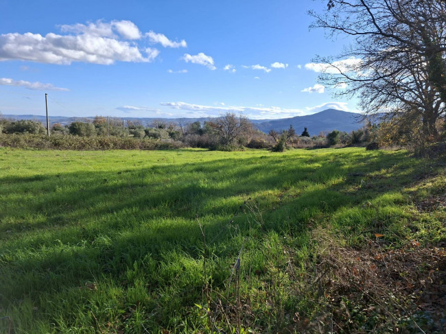 Terreno Agricolo in vendita a Guardialfiera