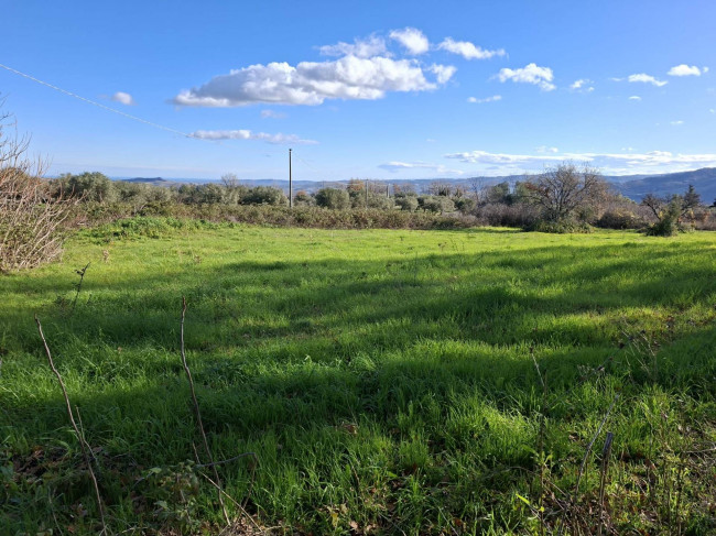 Terreno Agricolo in vendita a Guardialfiera