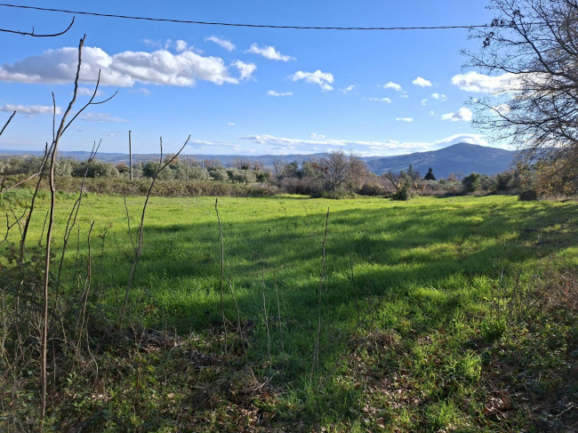 Terreno Agricolo in vendita a Guardialfiera