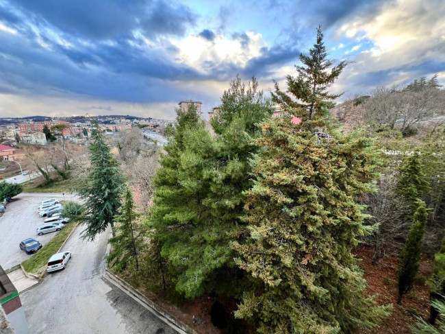 Appartamento in affitto a Campobasso