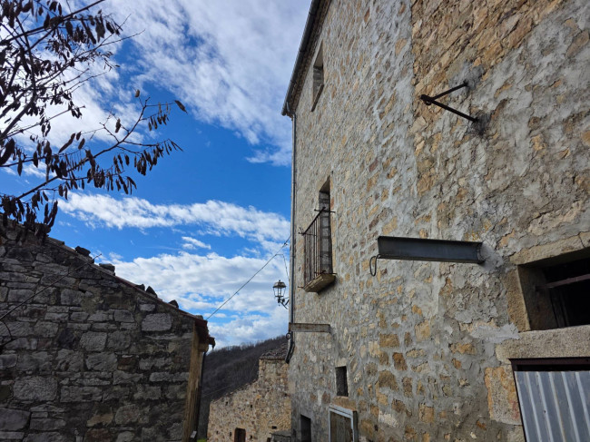 Cielo Terra in vendita a Castelbottaccio