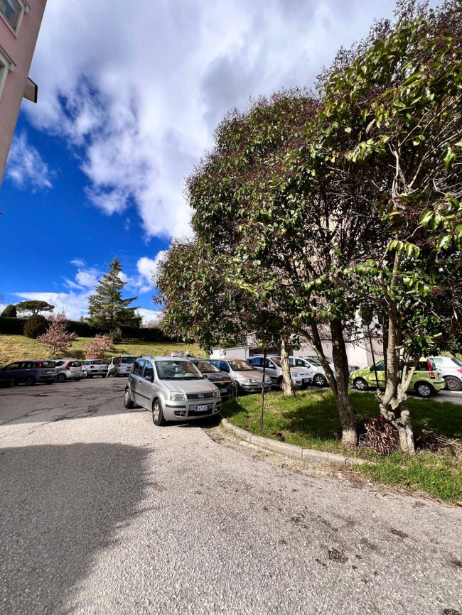 Appartamento in affitto a Campobasso