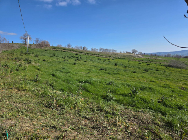 Casa indipendente in vendita a Castelbottaccio