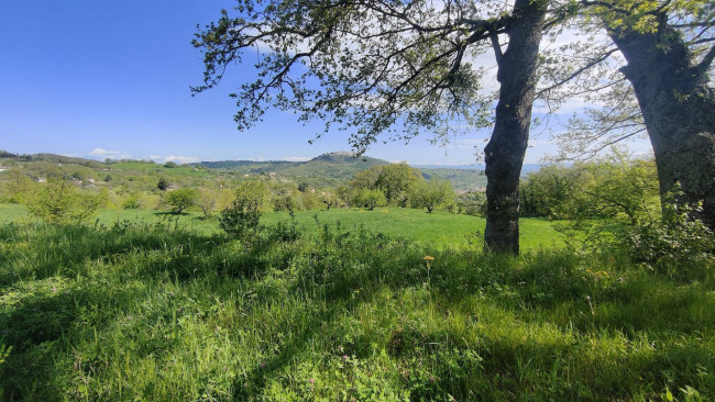 Casa singola in vendita a Mirabello Sannitico