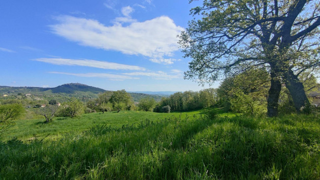 Casa singola in vendita a Mirabello Sannitico