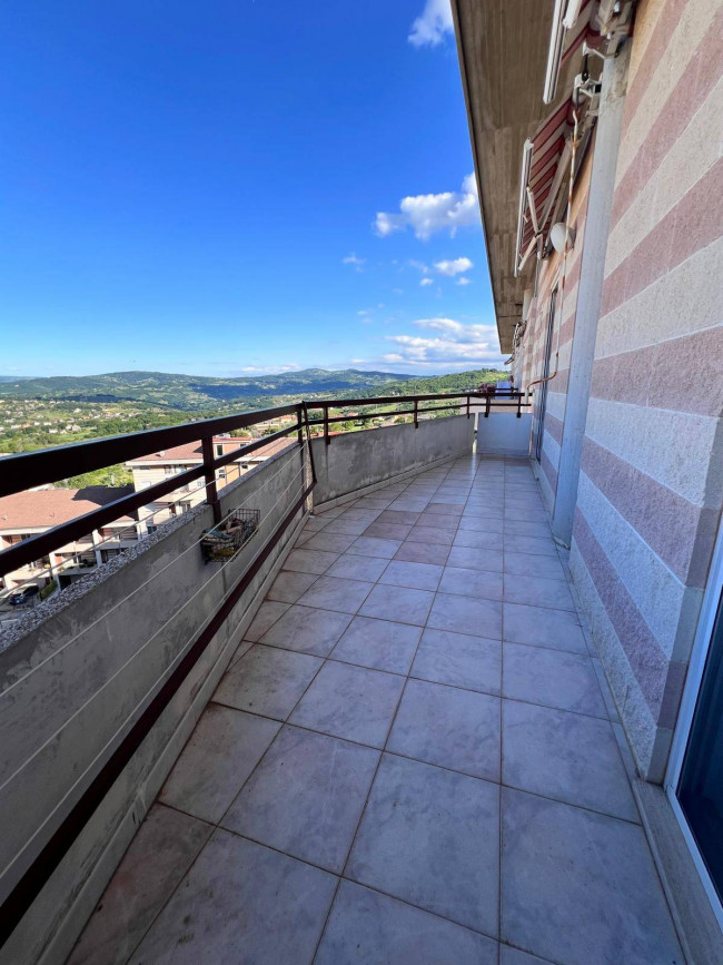 Appartamento in affitto a Campobasso