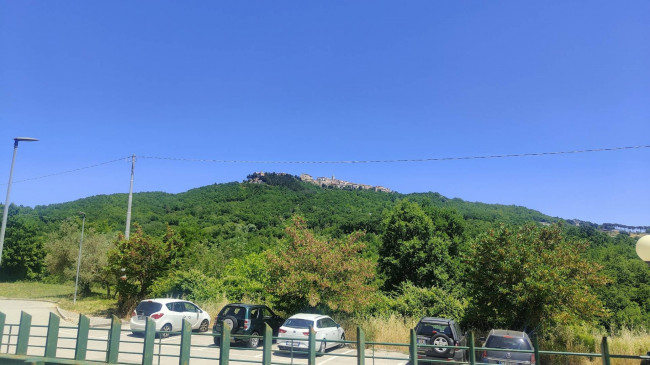 Appartamento in vendita a Mirabello Sannitico