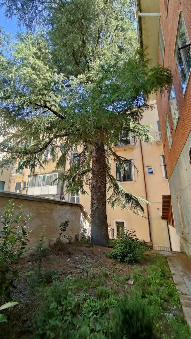 Villa bifamiliare in vendita a Campobasso