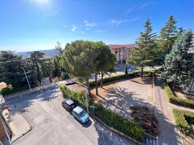 Appartamento in affitto a Campobasso