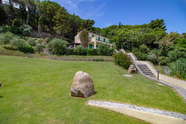 Appartamento in affitto a Marciana Marina