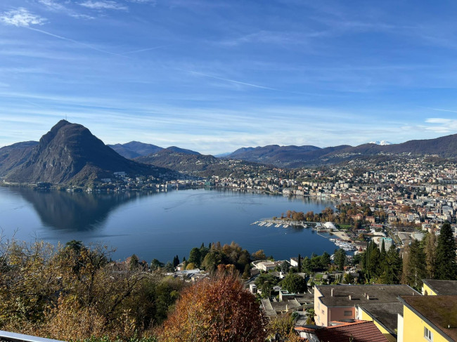 Appartamento in affitto a Lugano