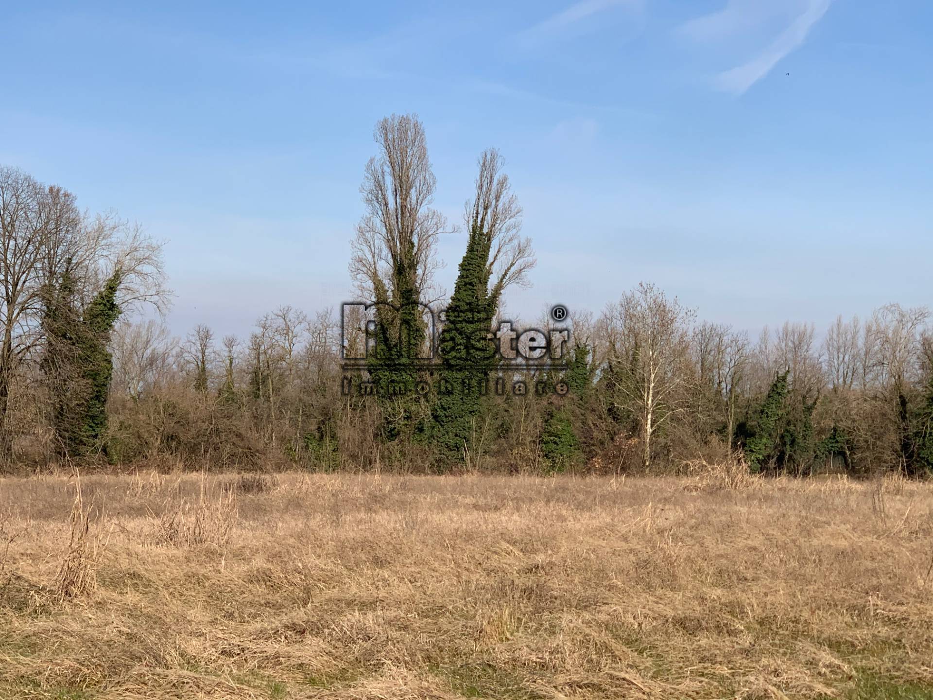 Terreno TREVISO vendita  Chiesa Votiva  Studio Master Immobiliare