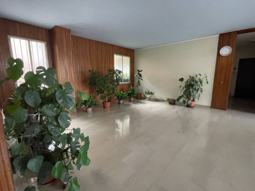 Appartamento 2 camere