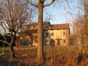 Rustico