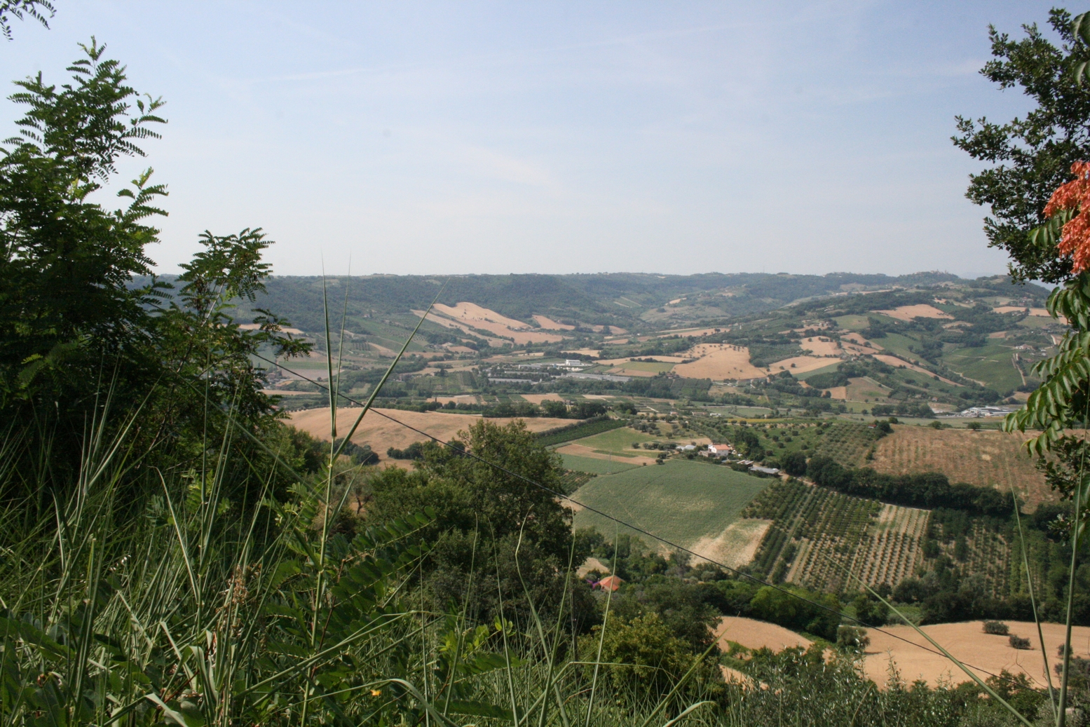  massignano vendita quart:  universo-immobiliare