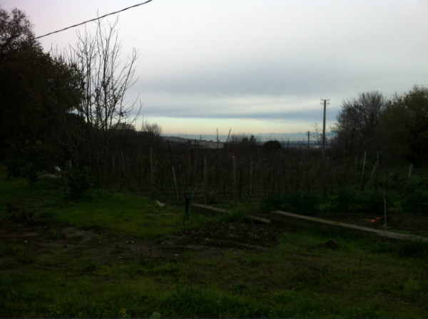 Foto - Terreno In Vendita Pozzuoli (na)
