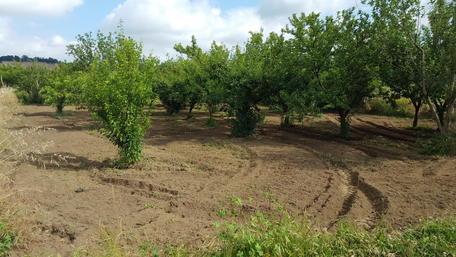Foto - Terreno In Vendita Quarto (na)
