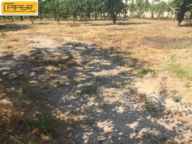 Negozio - Loc.Com. POZZUOLI affitto  Pozzuoli Alta  Piper immobiliare&servizi